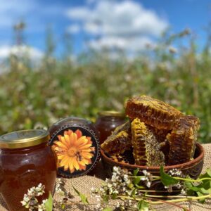 Мед Різнотрав'я