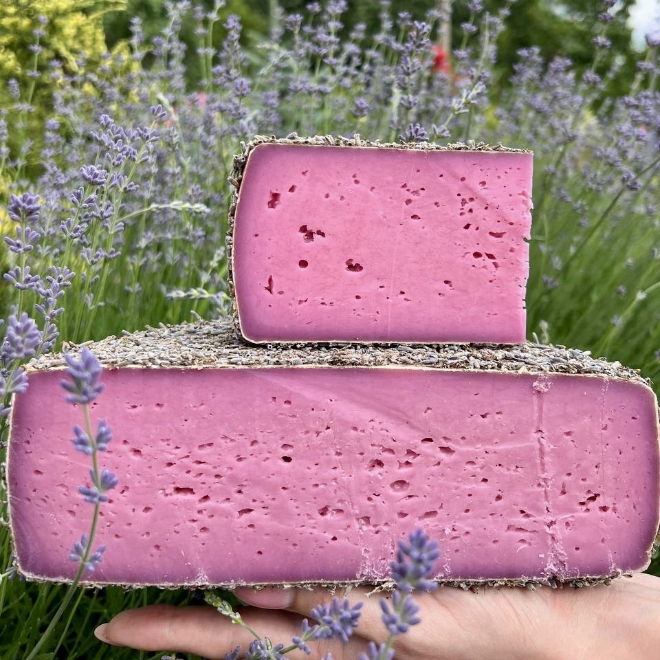 Гауда в лаванді