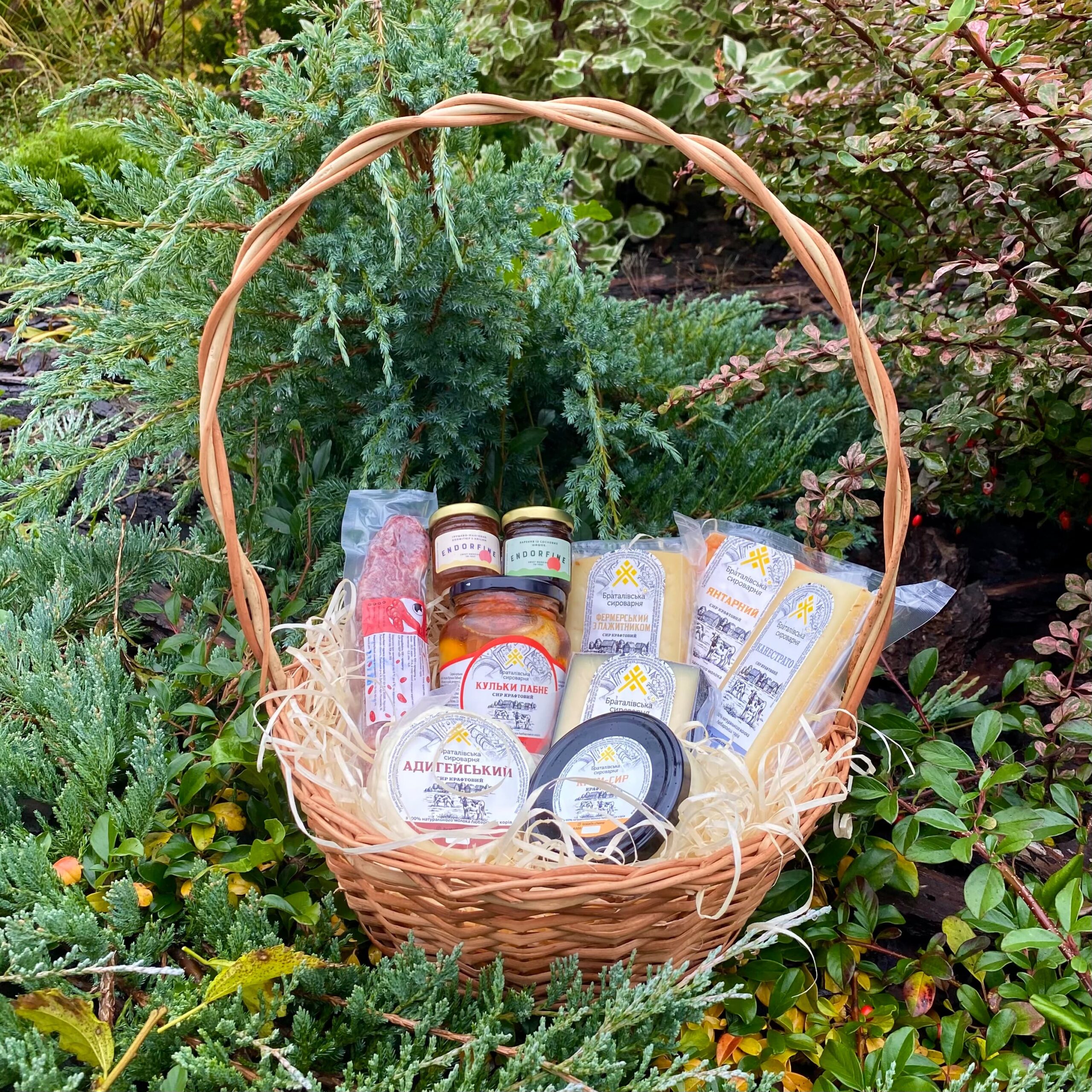 Набір “Сирне сяйво”