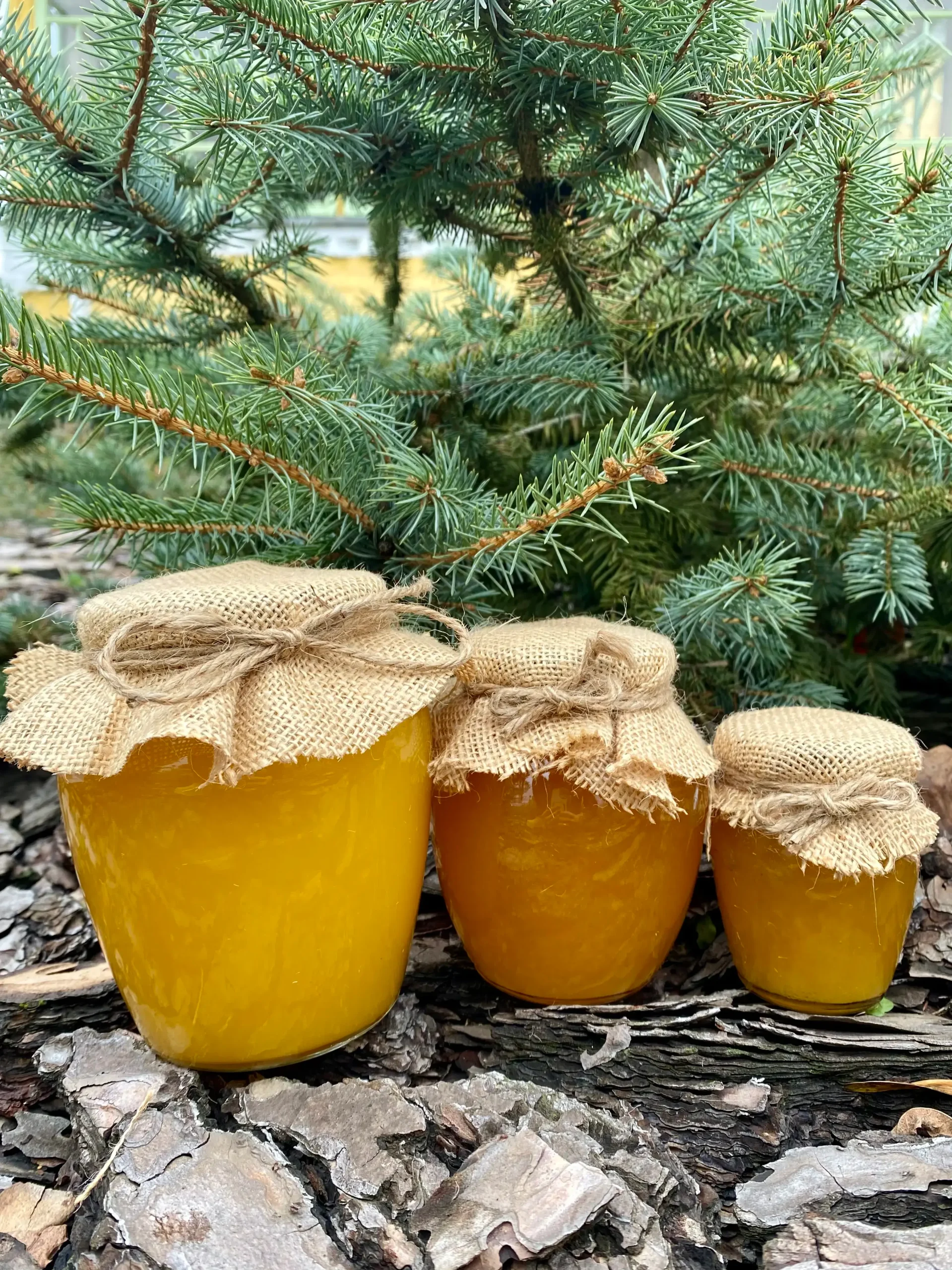 Мед Лісовий